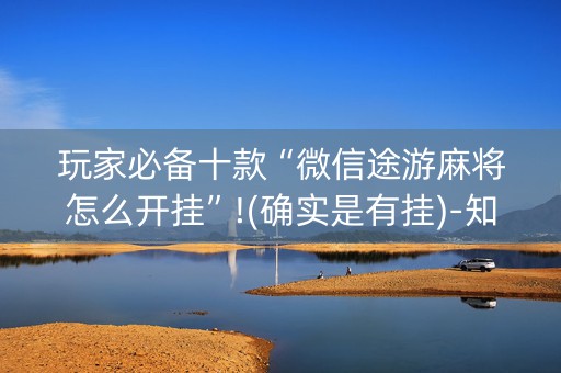 玩家必备十款“微信途游麻将怎么开挂”!(确实是有挂)-知乎