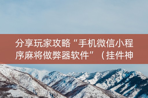 分享玩家攻略“手机微信小程序麻将做弊器软件”（挂件神器)