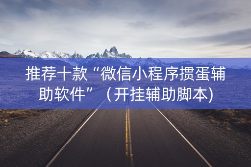 推荐十款“微信小程序掼蛋辅助软件”（开挂辅助脚本)