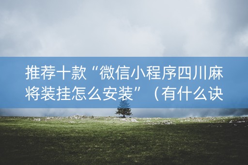 推荐十款“微信小程序四川麻将装挂怎么安装”（有什么诀窍)