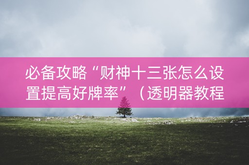 必备攻略“财神十三张怎么设置提高好牌率”（透明器教程)