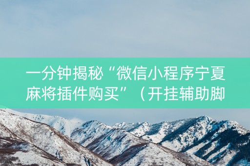 一分钟揭秘“微信小程序宁夏麻将插件购买”（开挂辅助脚本)