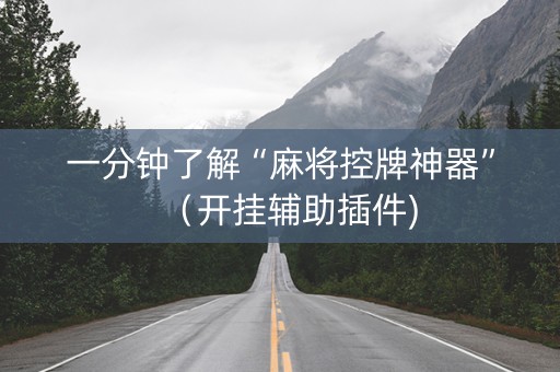 一分钟了解“麻将控牌神器”（开挂辅助插件)