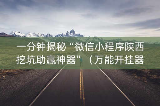 一分钟揭秘“微信小程序陕西挖坑助赢神器”（万能开挂器)