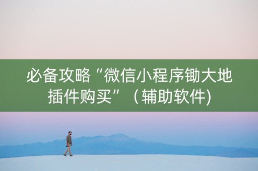 必备攻略“微信小程序锄大地插件购买”（辅助软件)