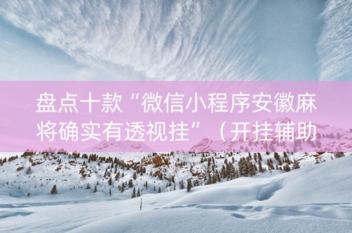 盘点十款“微信小程序安徽麻将确实有透视挂”（开挂辅助器插件)