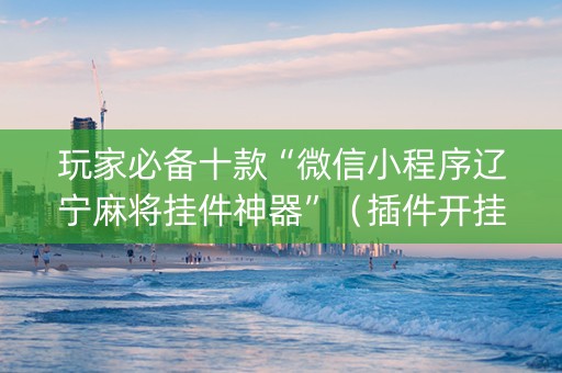 玩家必备十款“微信小程序辽宁麻将挂件神器”（插件开挂免费AI)
