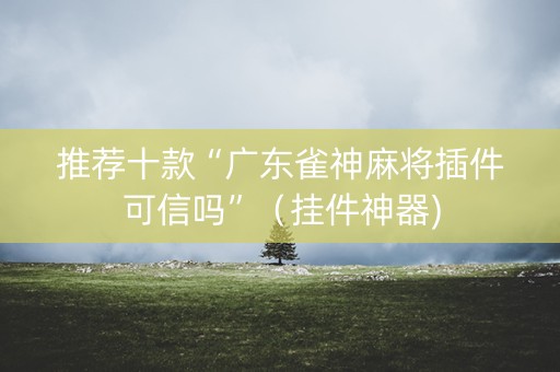 推荐十款“广东雀神麻将插件可信吗”（挂件神器)