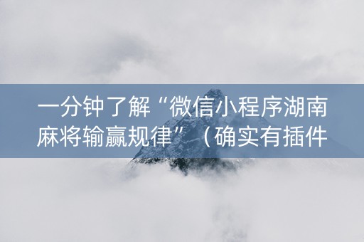 一分钟了解“微信小程序湖南麻将输赢规律”（确实有插件吗)