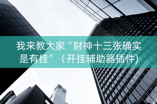 我来教大家“财神十三张确实是有挂”（开挂辅助器插件)