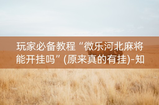 玩家必备教程“微乐河北麻将能开挂吗”(原来真的有挂)-知乎