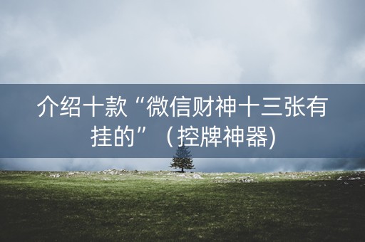 介绍十款“微信财神十三张有挂的”（控牌神器)