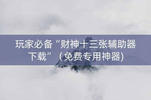 玩家必备“财神十三张辅助器下载”（免费专用神器)
