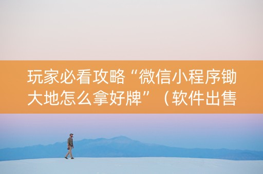 玩家必看攻略“微信小程序锄大地怎么拿好牌”（软件出售)