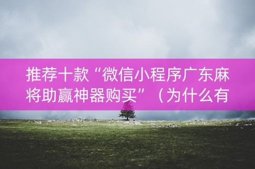 推荐十款“微信小程序广东麻将助赢神器购买”（为什么有人一直赢)