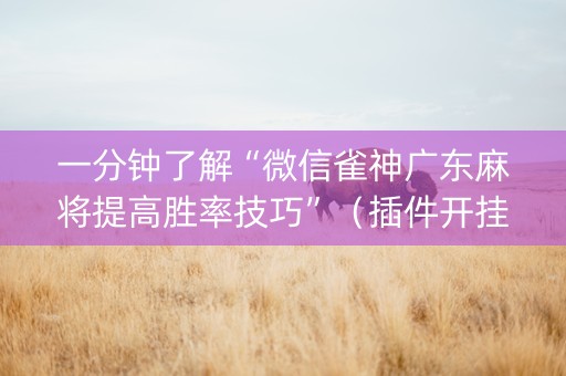 一分钟了解“微信雀神广东麻将提高胜率技巧”（插件开挂免费AI)
