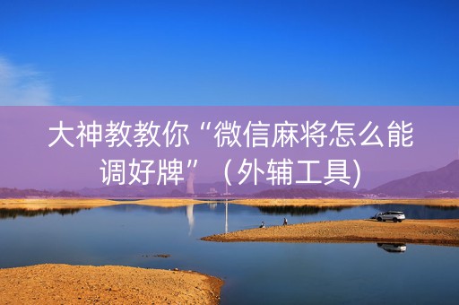 大神教教你“微信麻将怎么能调好牌”（外辅工具)