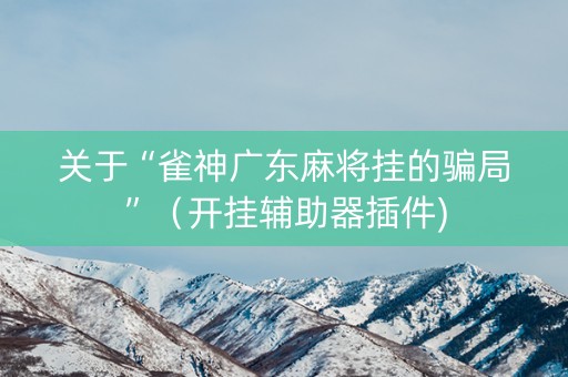 关于“雀神广东麻将挂的骗局”（开挂辅助器插件)