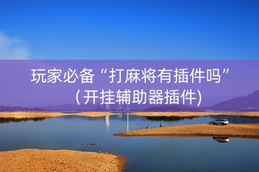 玩家必备“打麻将有插件吗”（开挂辅助器插件)
