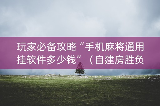 玩家必备攻略“手机麻将通用挂软件多少钱”（自建房胜负规律)