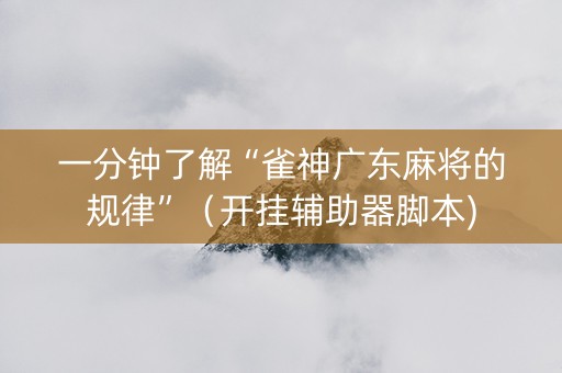 一分钟了解“雀神广东麻将的规律”（开挂辅助器脚本)