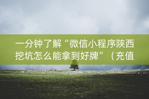 一分钟了解“微信小程序陕西挖坑怎么能拿到好牌”（充值会提高胜率么)