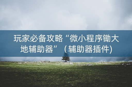 玩家必备攻略“微小程序锄大地辅助器”（辅助器插件)