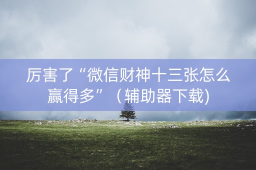 厉害了“微信财神十三张怎么赢得多”（辅助器下载)