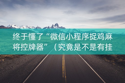 终于懂了“微信小程序捉鸡麻将控牌器”（究竟是不是有挂)