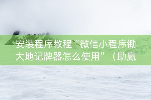 安装程序教程“微信小程序锄大地记牌器怎么使用”（助赢神器)