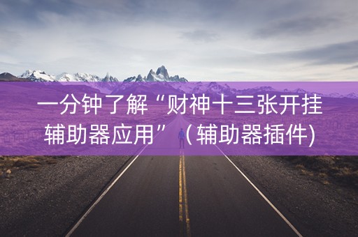 一分钟了解“财神十三张开挂辅助器应用”（辅助器插件)