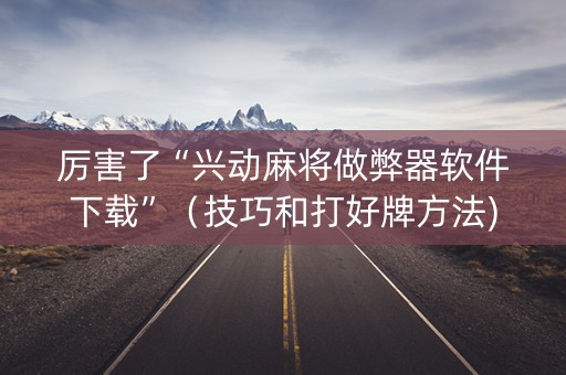 厉害了“兴动麻将做弊器软件下载”（技巧和打好牌方法)