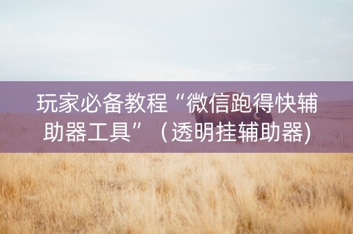 玩家必备教程“微信跑得快辅助器工具”（透明挂辅助器)