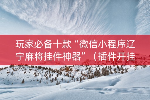 玩家必备十款“微信小程序辽宁麻将挂件神器”（插件开挂免费AI)