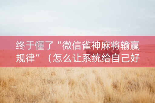 终于懂了“微信雀神麻将输赢规律”（怎么让系统给自己好牌)