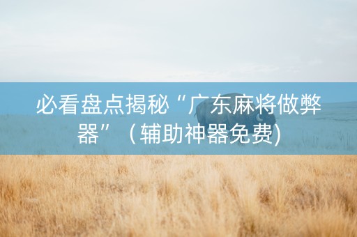 必看盘点揭秘“广东麻将做弊器”（辅助神器免费)
