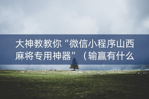 大神教教你“微信小程序山西麻将专用神器”（输赢有什么规律)