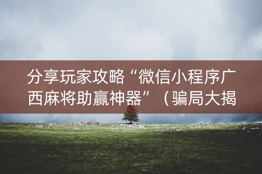分享玩家攻略“微信小程序广西麻将助赢神器”（骗局大揭秘)