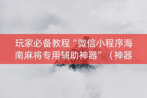 玩家必备教程“微信小程序海南麻将专用辅助神器”（神器通用版)