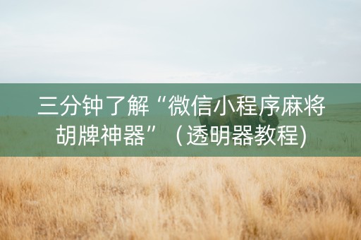 三分钟了解“微信小程序麻将胡牌神器”（透明器教程)