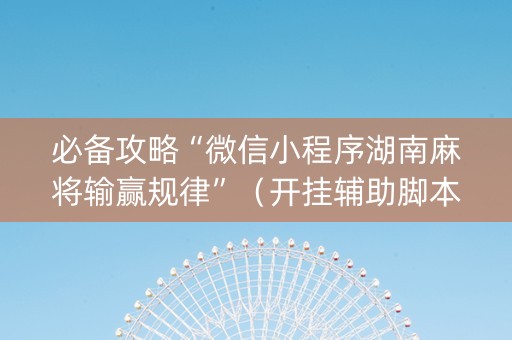 必备攻略“微信小程序湖南麻将输赢规律”（开挂辅助脚本)