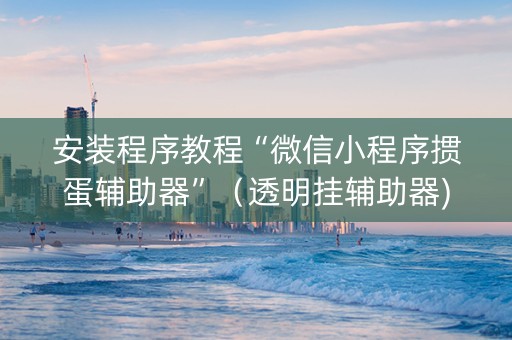 安装程序教程“微信小程序掼蛋辅助器”（透明挂辅助器)