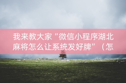 我来教大家“微信小程序湖北麻将怎么让系统发好牌”（怎么增加胜率)