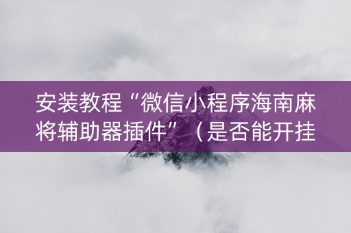安装教程“微信小程序海南麻将辅助器插件”（是否能开挂)
