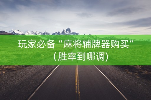 玩家必备“麻将辅牌器购买”（胜率到哪调)