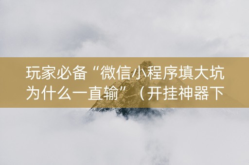 玩家必备“微信小程序填大坑为什么一直输”（开挂神器下载)
