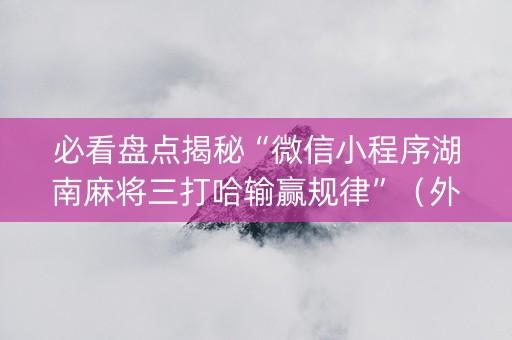 必看盘点揭秘“微信小程序湖南麻将三打哈输赢规律”（外辅工具)