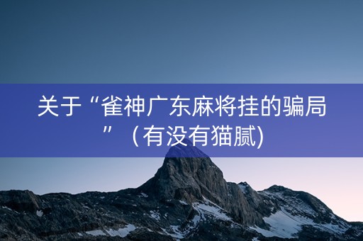 关于“雀神广东麻将挂的骗局”（有没有猫腻)