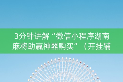 3分钟讲解“微信小程序湖南麻将助赢神器购买”（开挂辅助插件)
