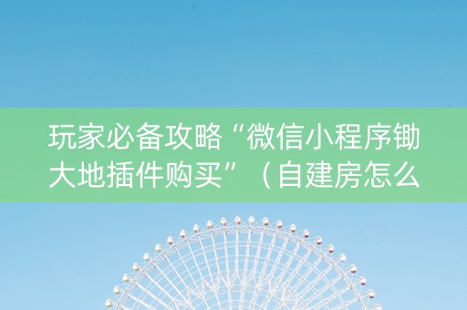 玩家必备攻略“微信小程序锄大地插件购买”（自建房怎么拿好牌)